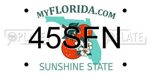 45SFN Florida License Plate