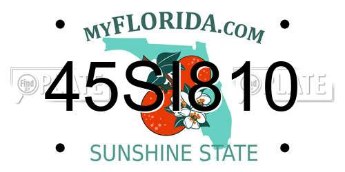 45SI810 Florida License Plate