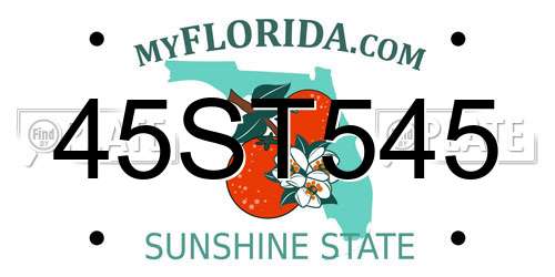 45ST545 Florida License Plate