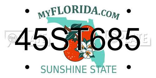45ST685 Florida License Plate