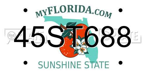 45ST688 Florida License Plate