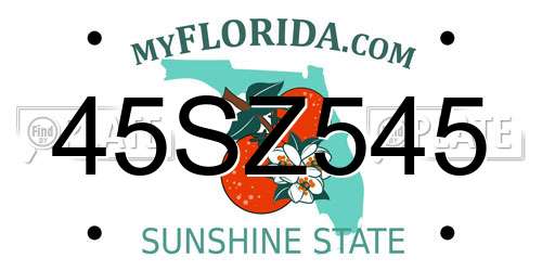 45SZ545 Florida License Plate