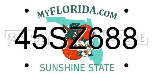 45SZ688 Florida License Plate