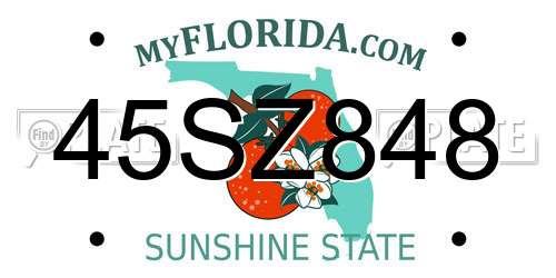 45SZ848 Florida License Plate
