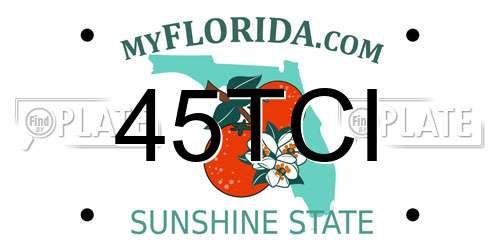 45TCI Florida License Plate