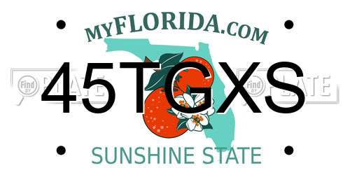 45TGXS Florida License Plate