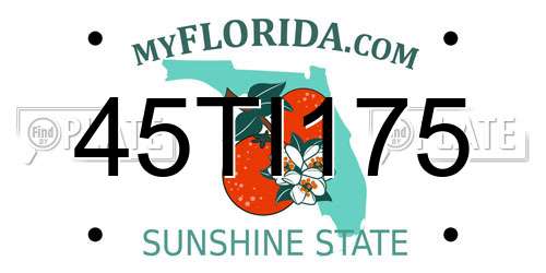 45TI175 Florida License Plate
