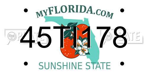 45TI178 Florida License Plate