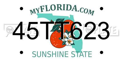 45TT623 Florida License Plate