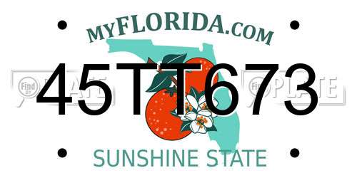45TT673 Florida License Plate