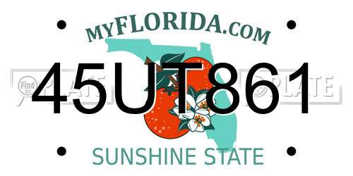 45UT861 Florida License Plate