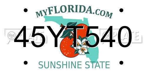 45YT540 Florida License Plate