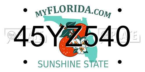45YZ540 Florida License Plate