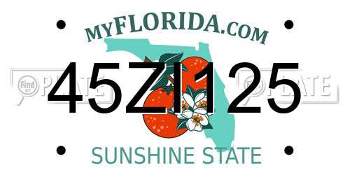 45ZI125 Florida License Plate