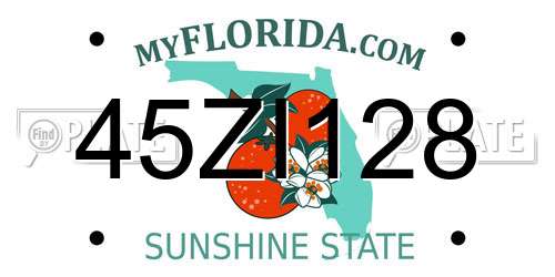 45ZI128 Florida License Plate