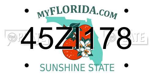 45ZI178 Florida License Plate