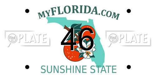 46 Florida License Plate
