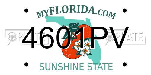 4601PV Florida License Plate