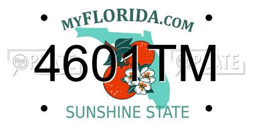 4601TM Florida License Plate