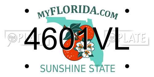 4601VL Florida License Plate