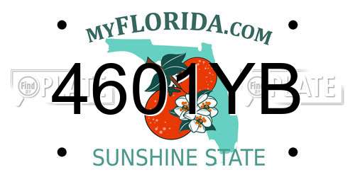 4601YB Florida License Plate