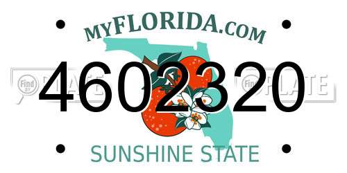 4602320 Florida License Plate