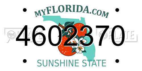 4602370 Florida License Plate