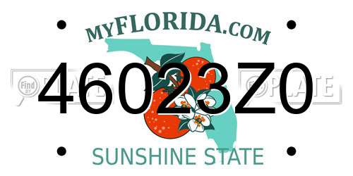 46023Z0 Florida License Plate