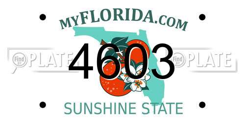 4603 Florida License Plate