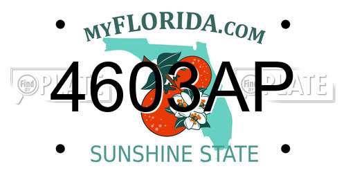 4603AP Florida License Plate