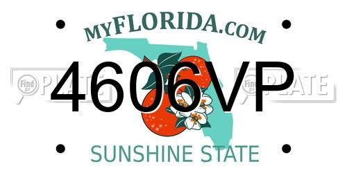 4606VP Florida License Plate