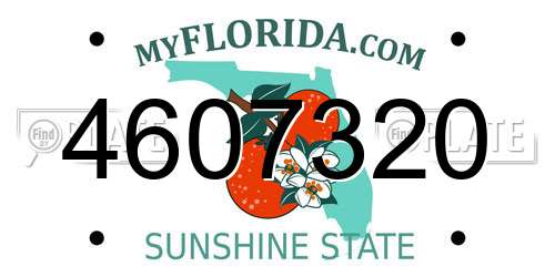 4607320 Florida License Plate