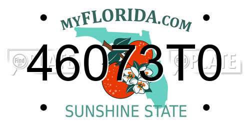 46073T0 Florida License Plate