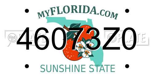 46073Z0 Florida License Plate