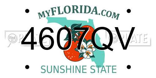 4607QV Florida License Plate