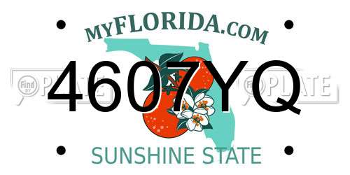 4607YQ Florida License Plate