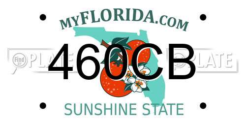 460CB Florida License Plate