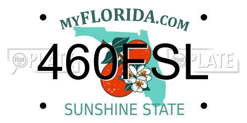 460FSL Florida License Plate