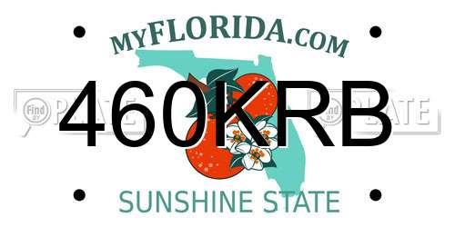 460KRB Florida License Plate