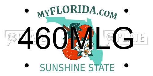 460MLG Florida License Plate