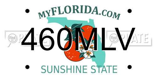 460MLV Florida License Plate
