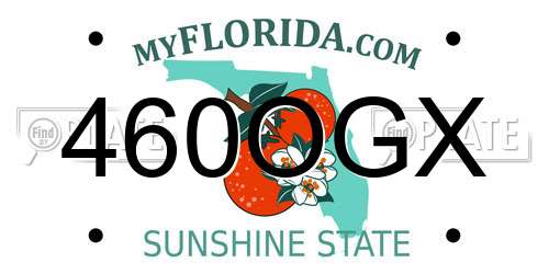 460OGX Florida License Plate