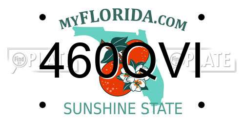 460QVI Florida License Plate
