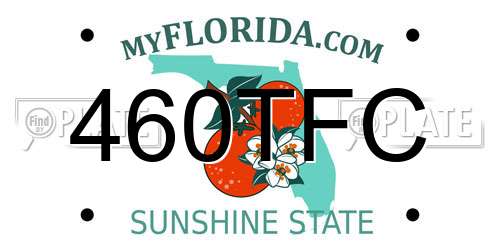 460TFC Florida License Plate