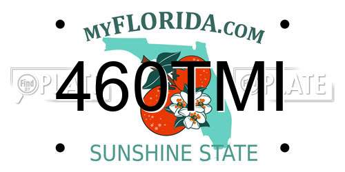 460TMI Florida License Plate