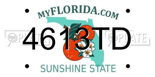 4613TD Florida License Plate