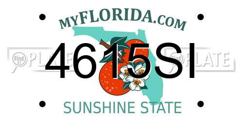 4615SI Florida License Plate