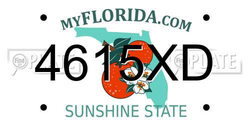 4615XD Florida License Plate