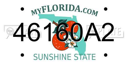 46160A2 Florida License Plate