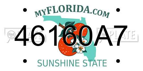 46160A7 Florida License Plate